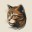Tabby